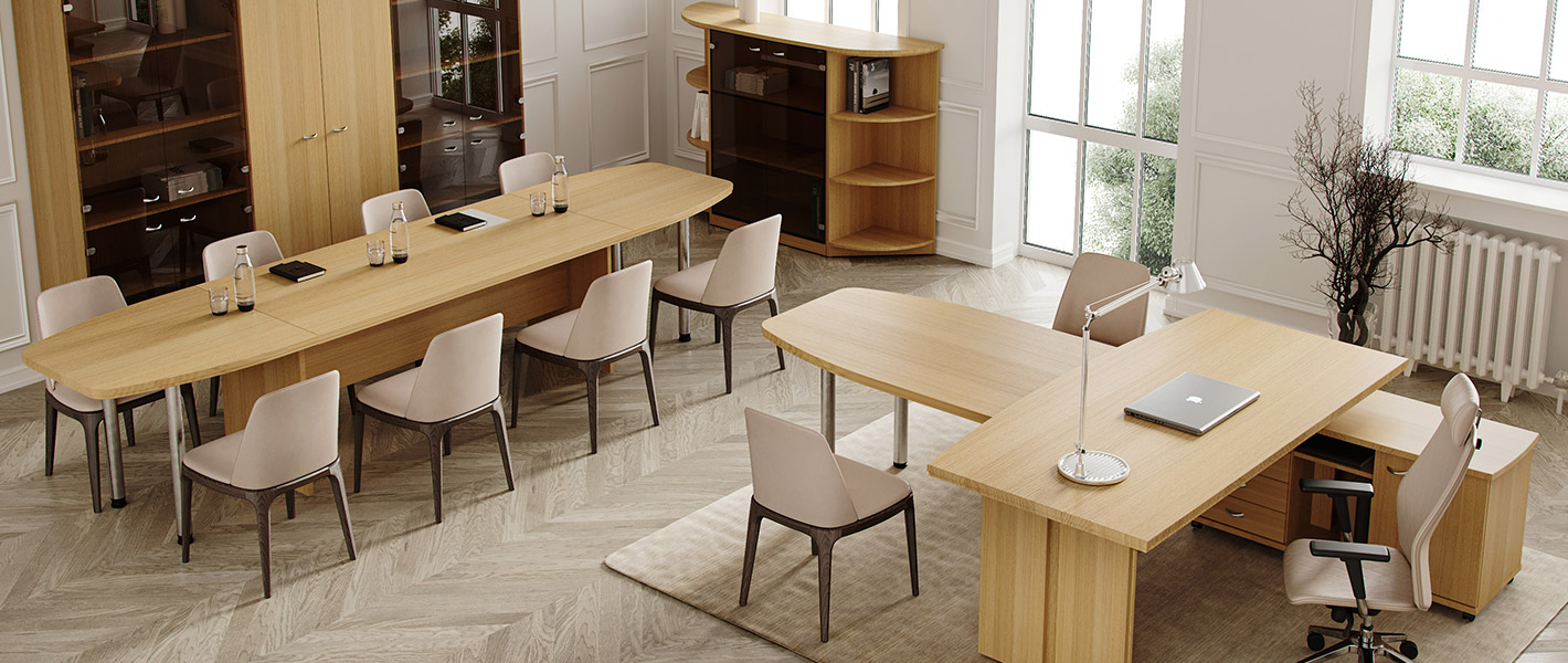 серия Директор мебель